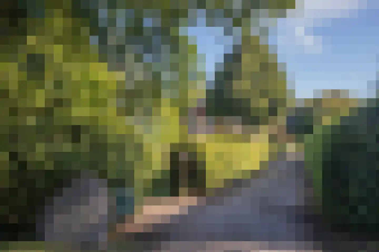 Papenvoort 7 Papenvoort thumbnail 6