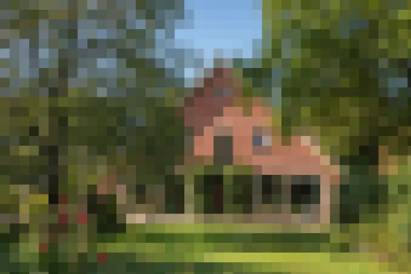 Papenvoort 7 Papenvoort thumbnail 65