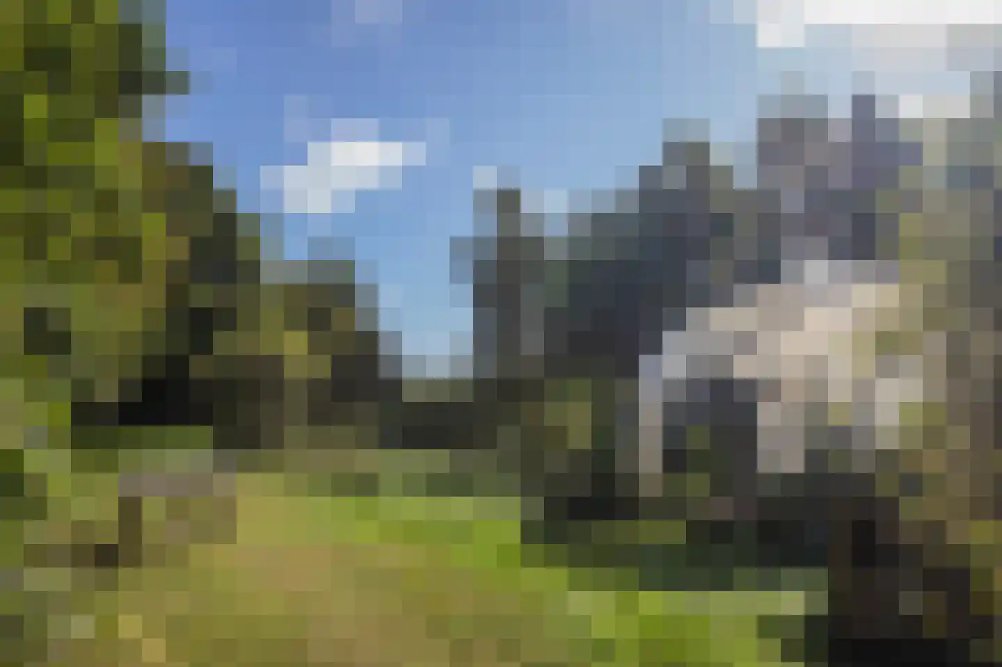 Papenvoort 7 Papenvoort thumbnail 66