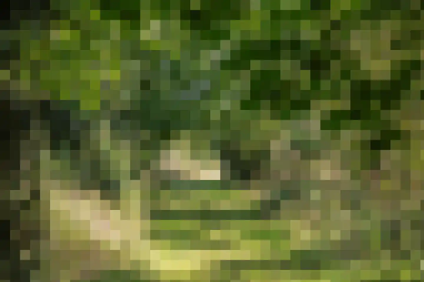 Papenvoort 7 Papenvoort thumbnail 67