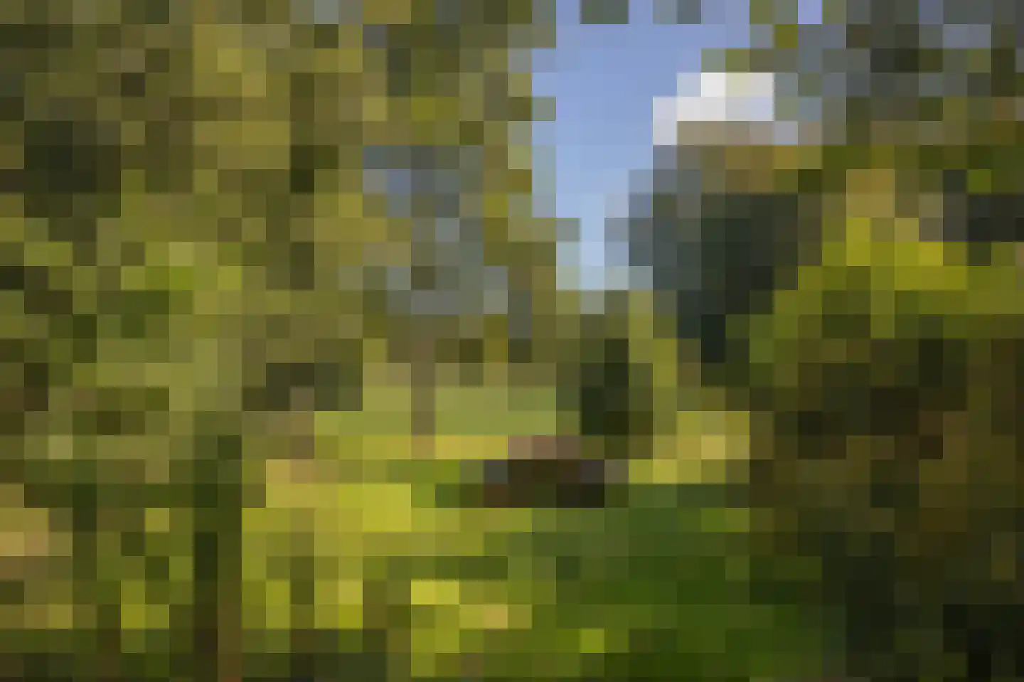 Papenvoort 7 Papenvoort thumbnail 69