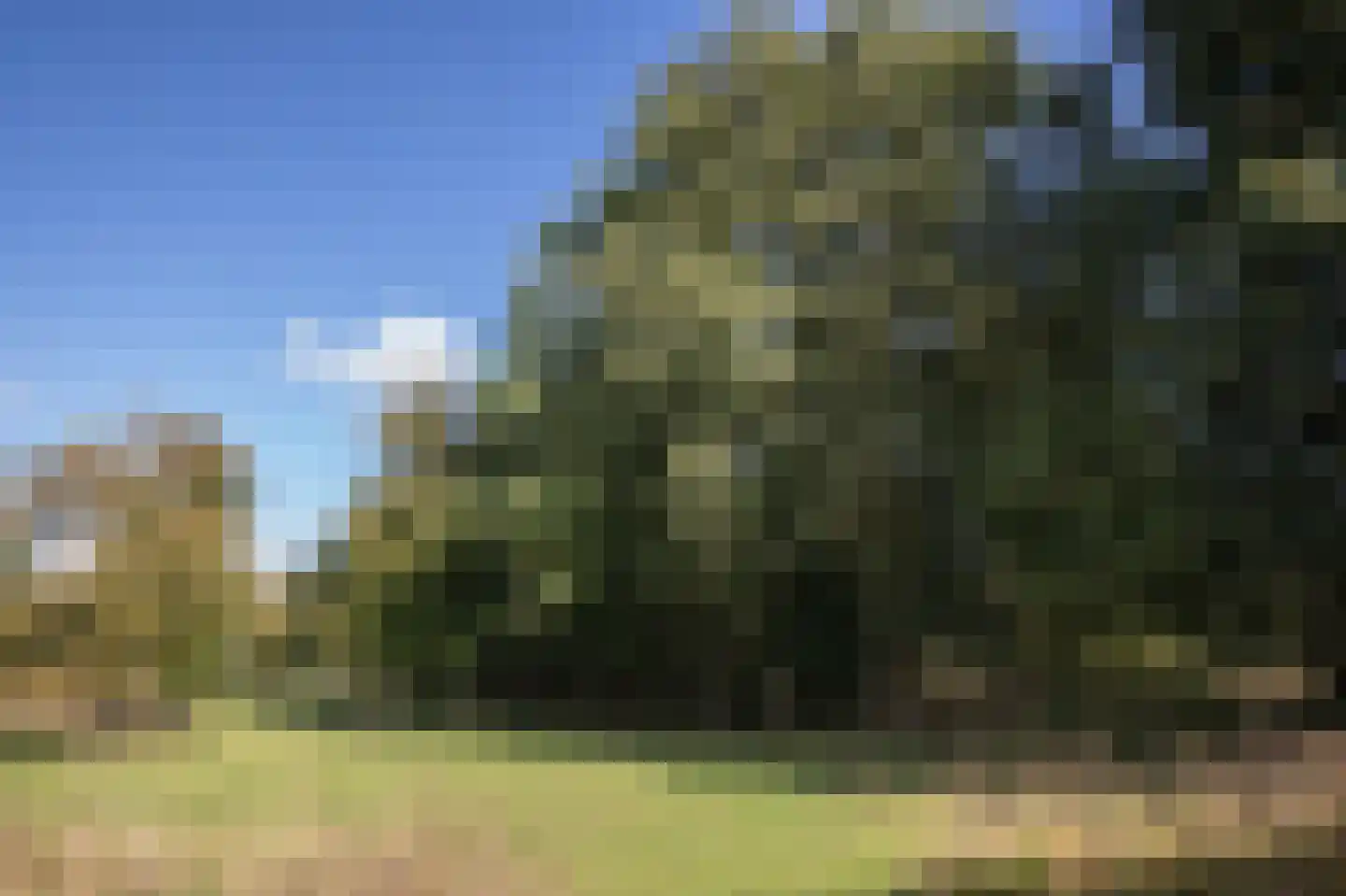 Papenvoort 7 Papenvoort thumbnail 71