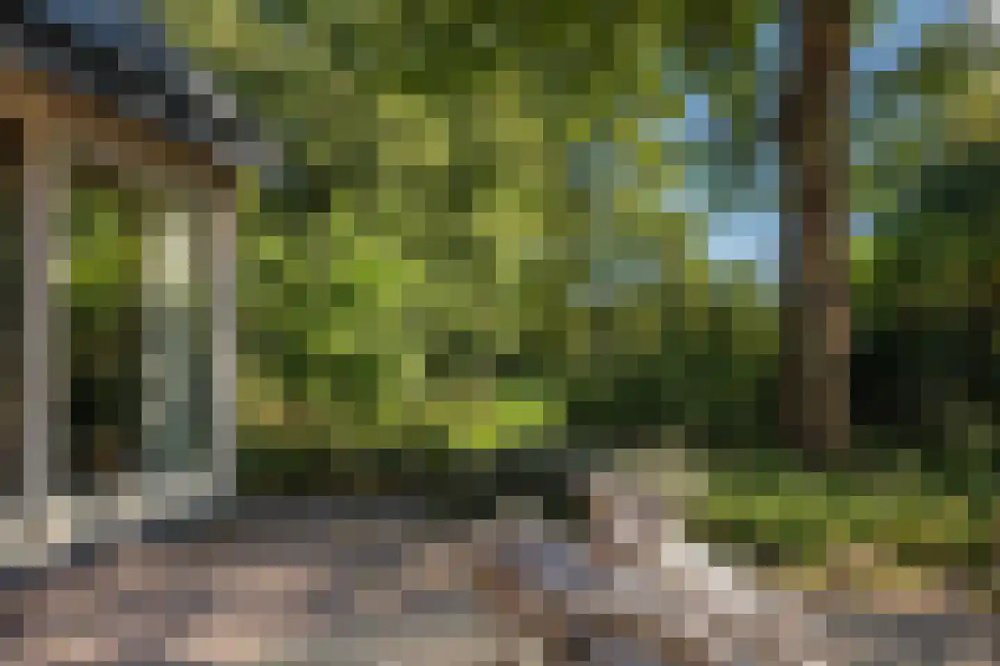 Papenvoort 7 Papenvoort thumbnail 74