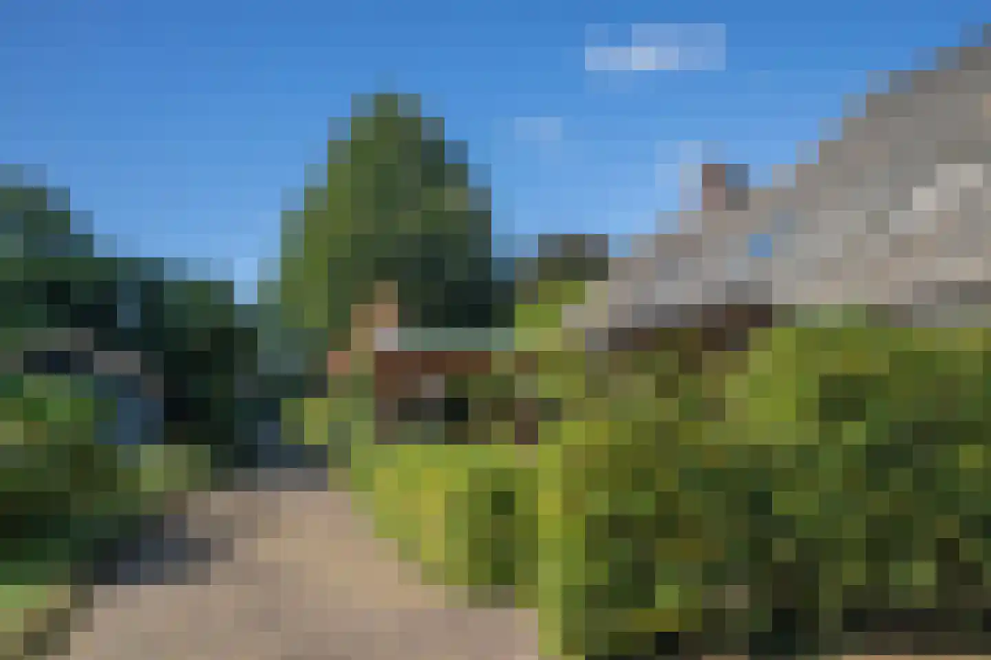 Papenvoort 7 Papenvoort thumbnail 8