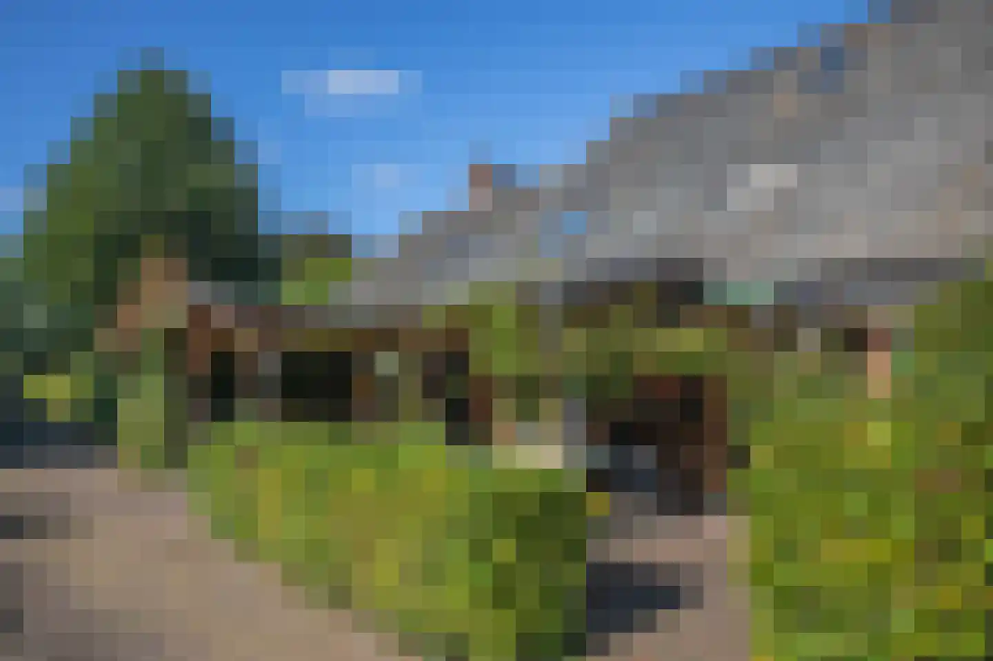 Papenvoort 7 Papenvoort thumbnail 9