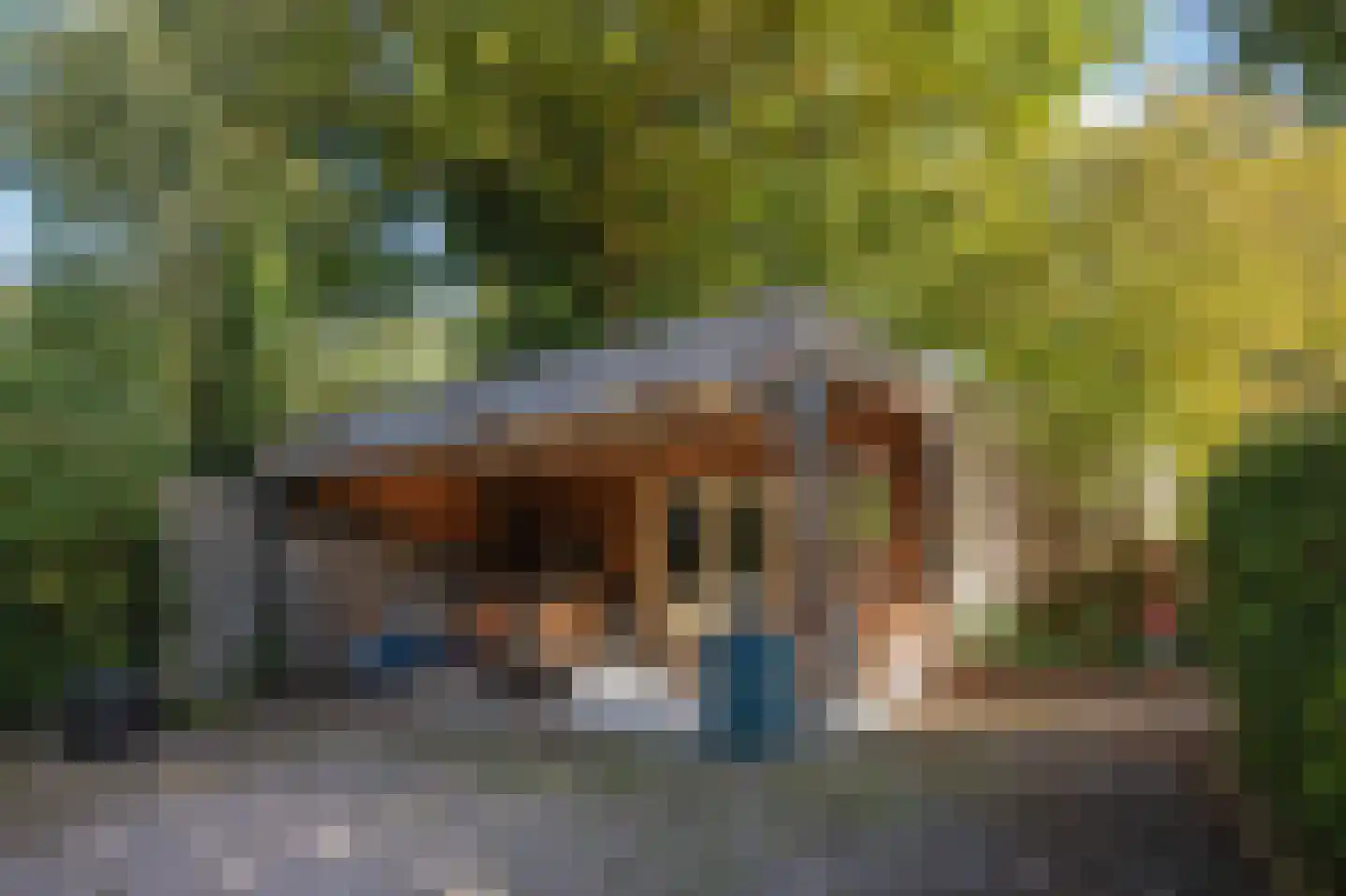 Papenvoort 7 Papenvoort thumbnail 97