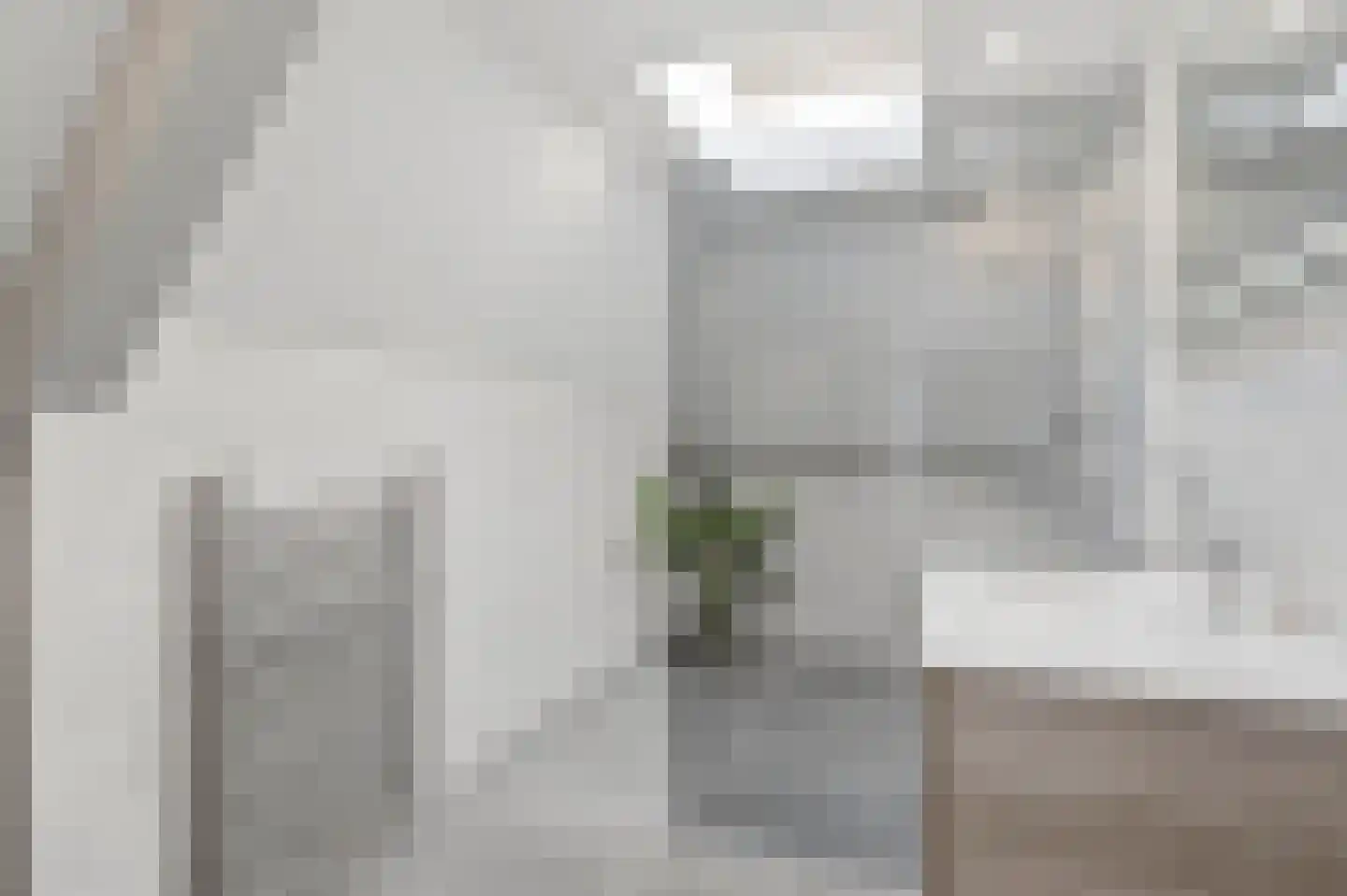 Papenvoortsedijk 10 Rijkevoort thumbnail 25