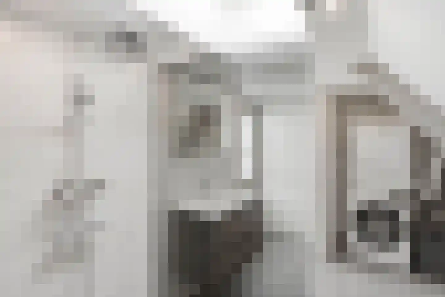 Papenvoortsedijk 10 Rijkevoort thumbnail 26
