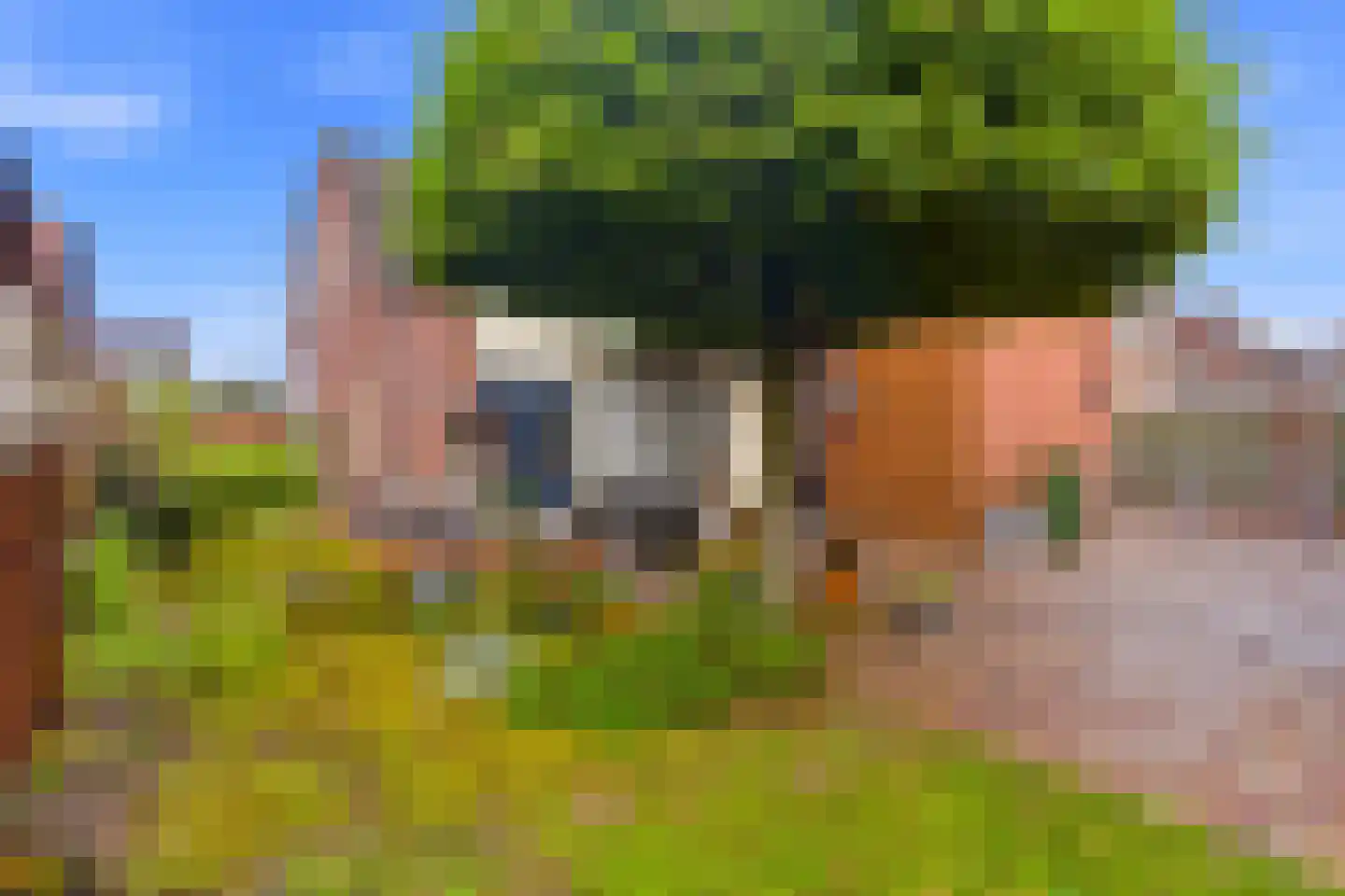 Papenvoortsedijk 10 Rijkevoort thumbnail 30