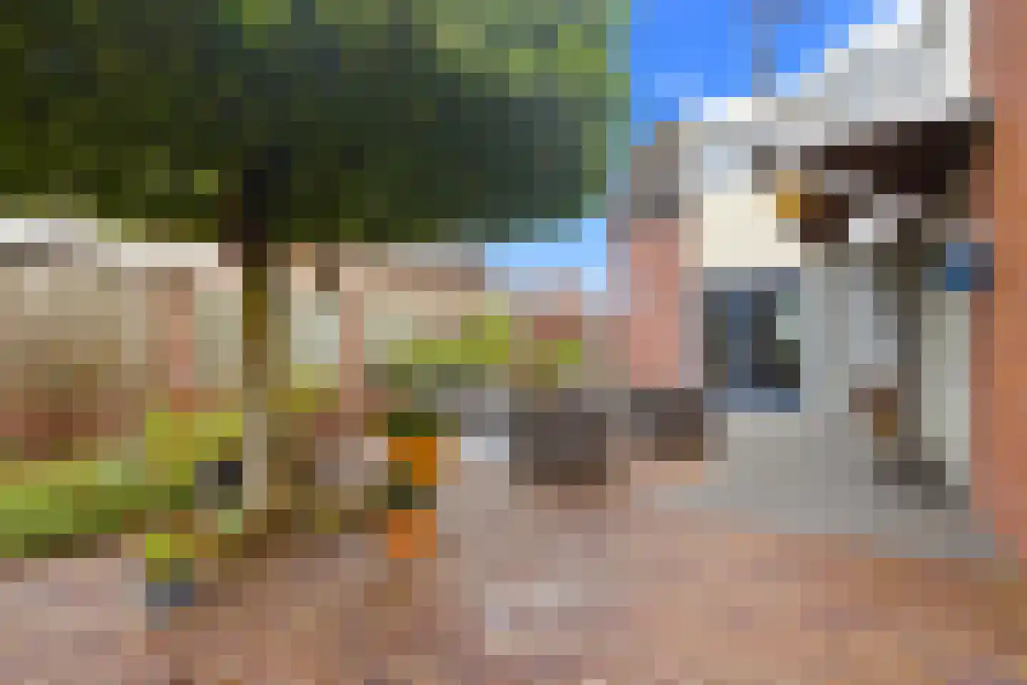 Papenvoortsedijk 10 Rijkevoort thumbnail 31