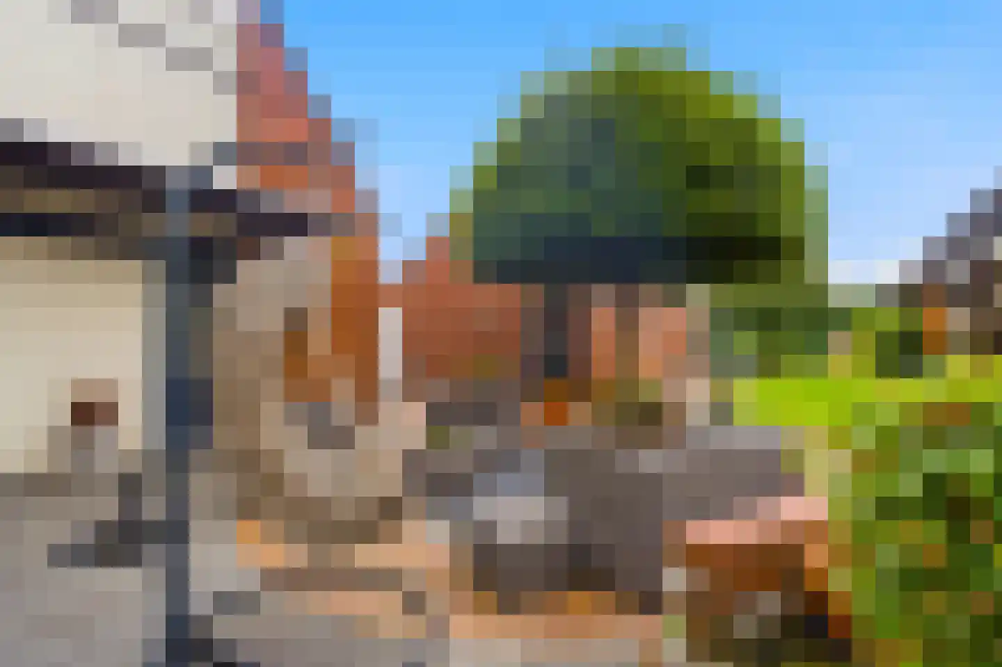 Papenvoortsedijk 10 Rijkevoort thumbnail 32