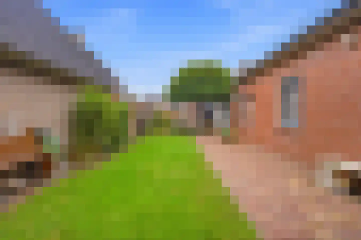 Papenvoortsedijk 10 Rijkevoort thumbnail 33
