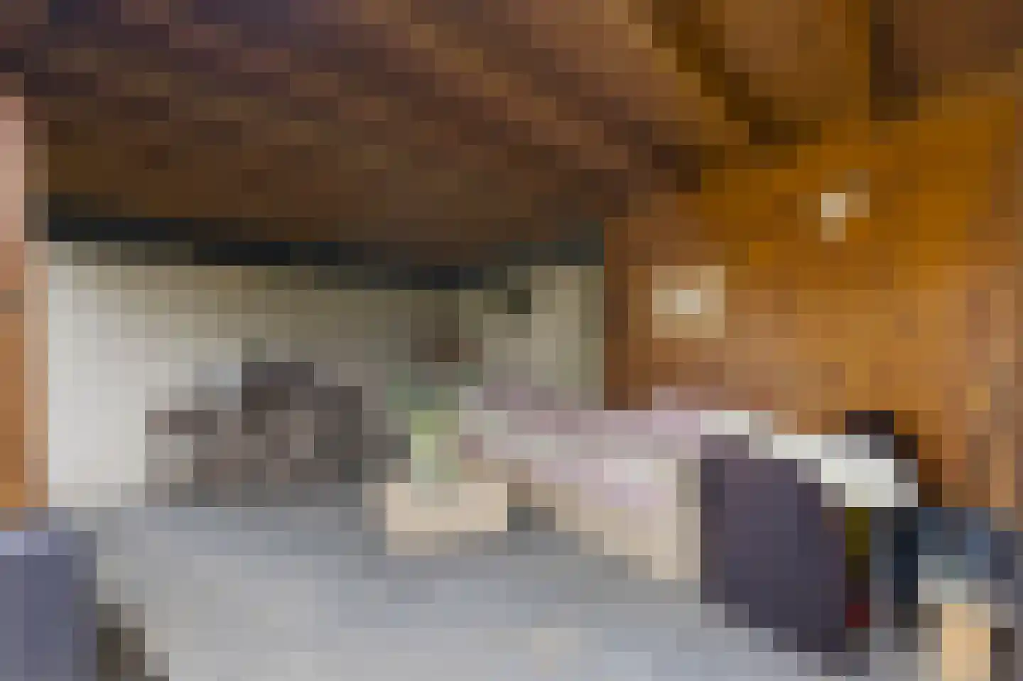 Papenvoortsedijk 10 Rijkevoort thumbnail 34