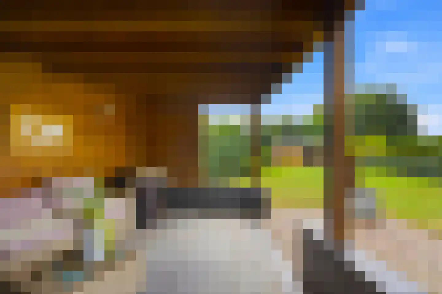 Papenvoortsedijk 10 Rijkevoort thumbnail 35