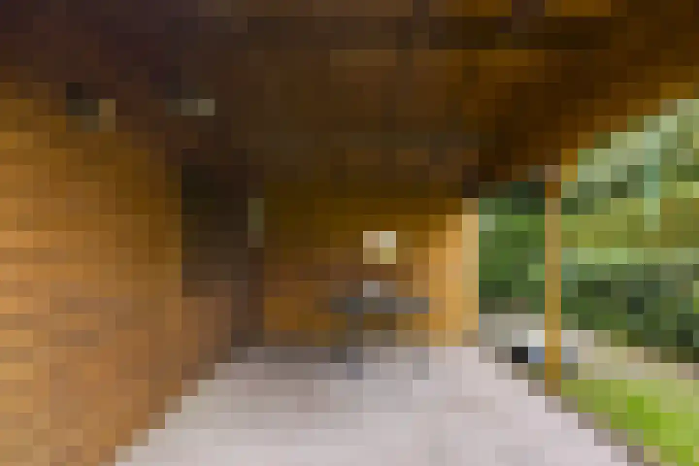 Papenvoortsedijk 10 Rijkevoort thumbnail 36