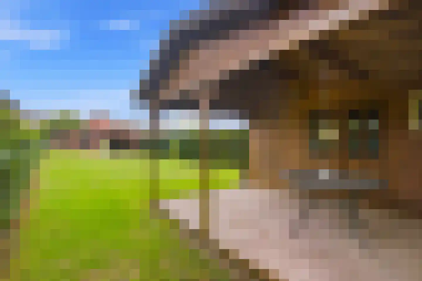 Papenvoortsedijk 10 Rijkevoort thumbnail 37