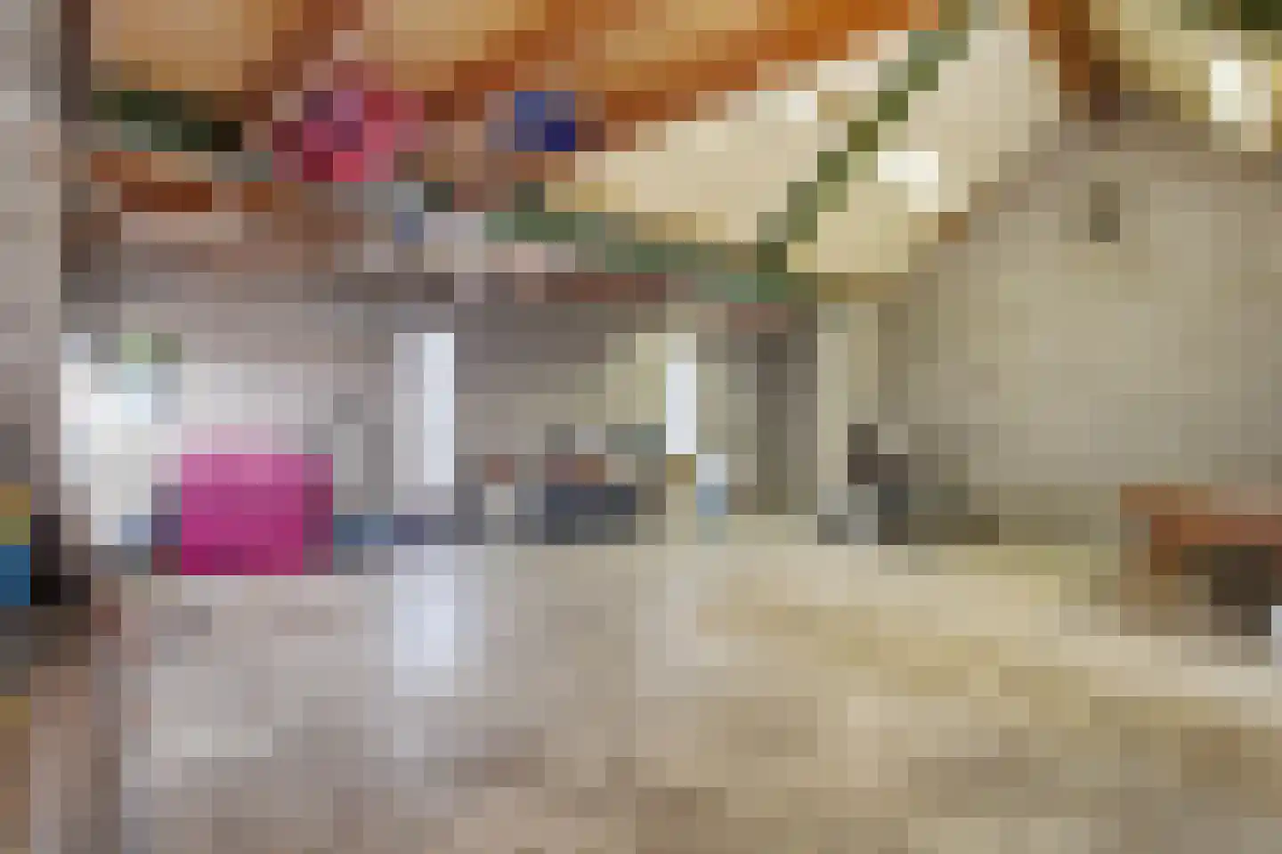 Papenvoortsedijk 10 Rijkevoort thumbnail 40