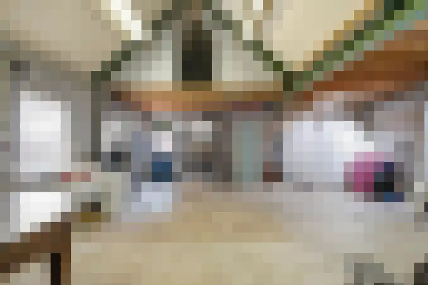 Papenvoortsedijk 10 Rijkevoort thumbnail 41