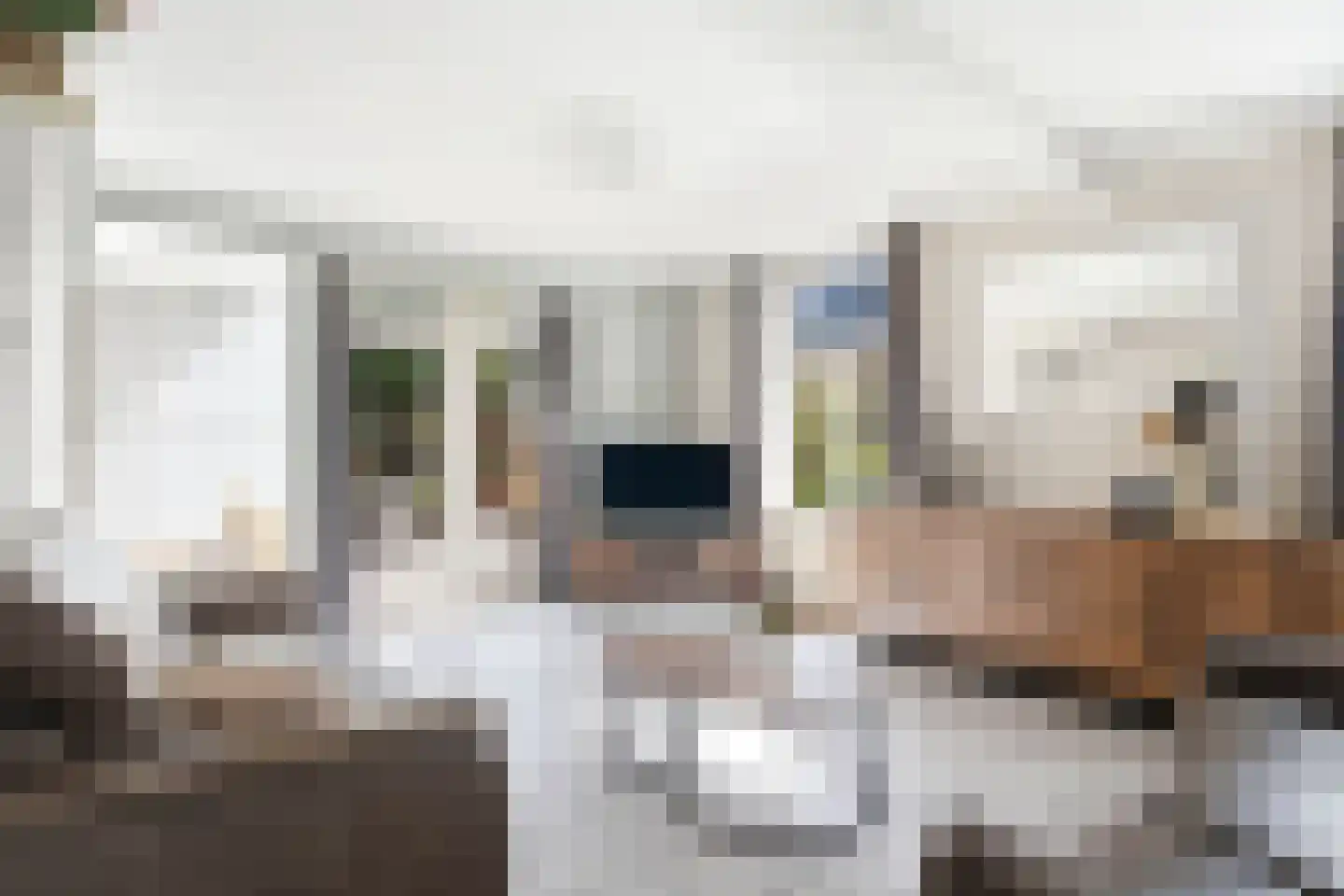 Papenvoortsedijk 10 Rijkevoort thumbnail 5