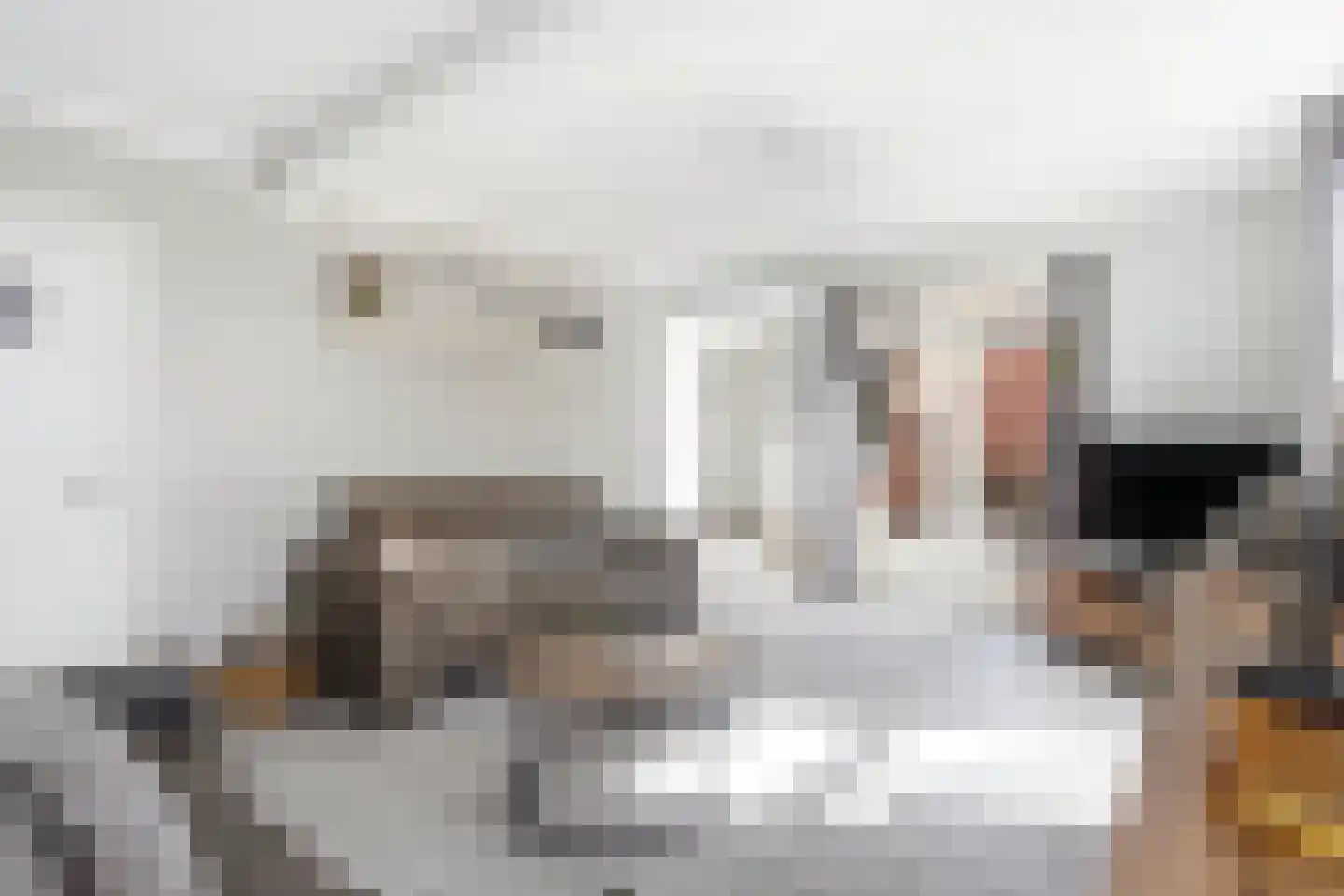 Papenvoortsedijk 10 Rijkevoort thumbnail 6