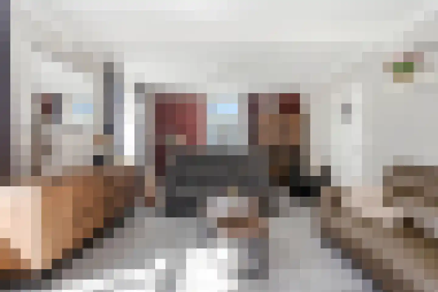 Papenvoortsedijk 10 Rijkevoort thumbnail 7