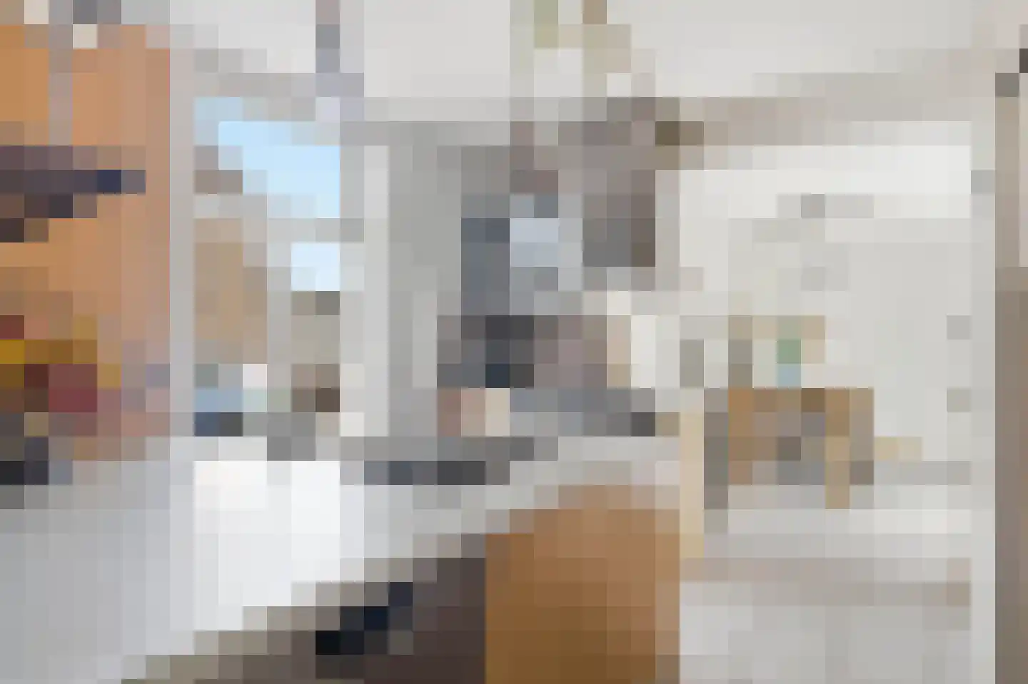 Papenvoortsedijk 10 Rijkevoort thumbnail 8