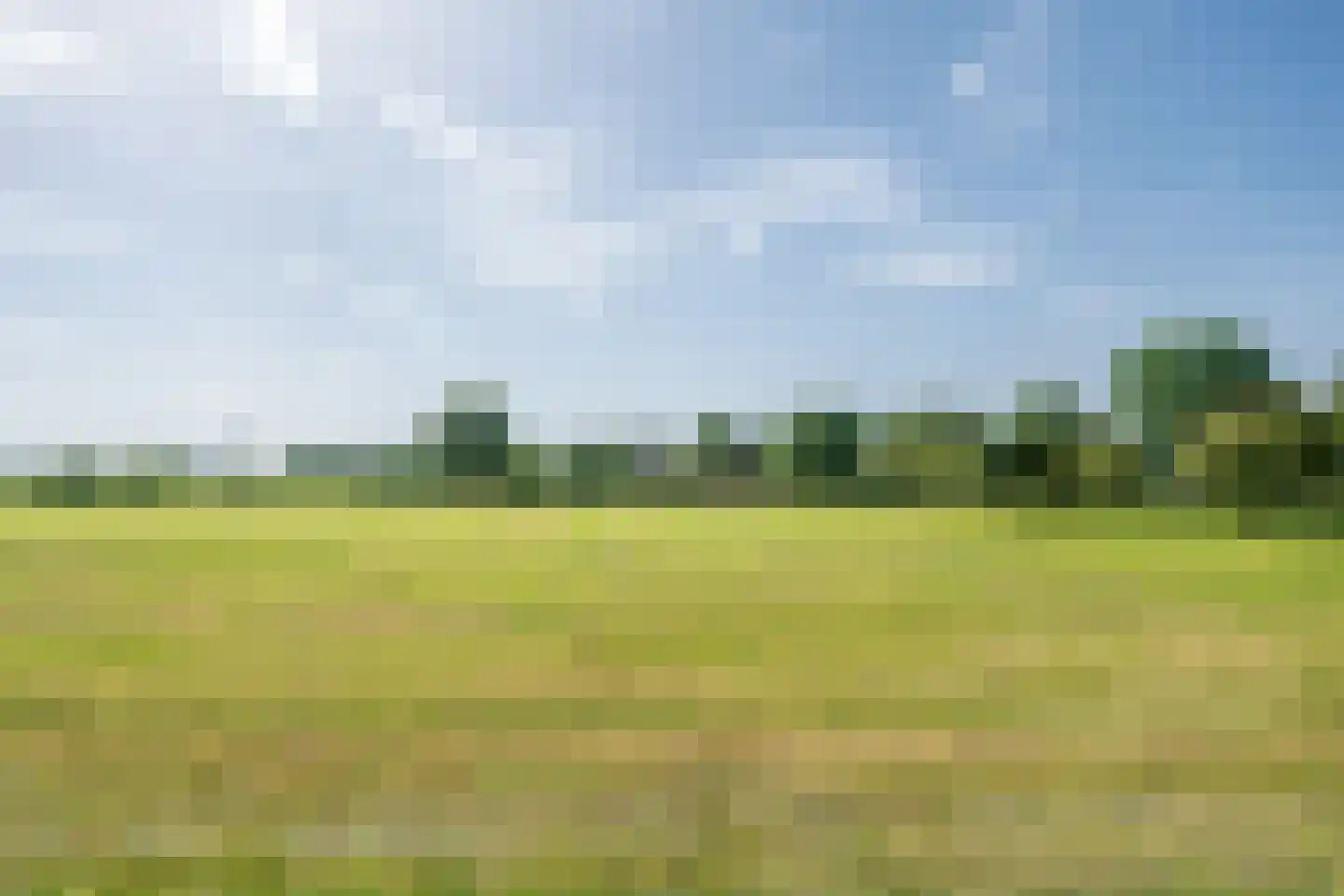 Papenvoortsedijk 4 b Rijkevoort foto 2