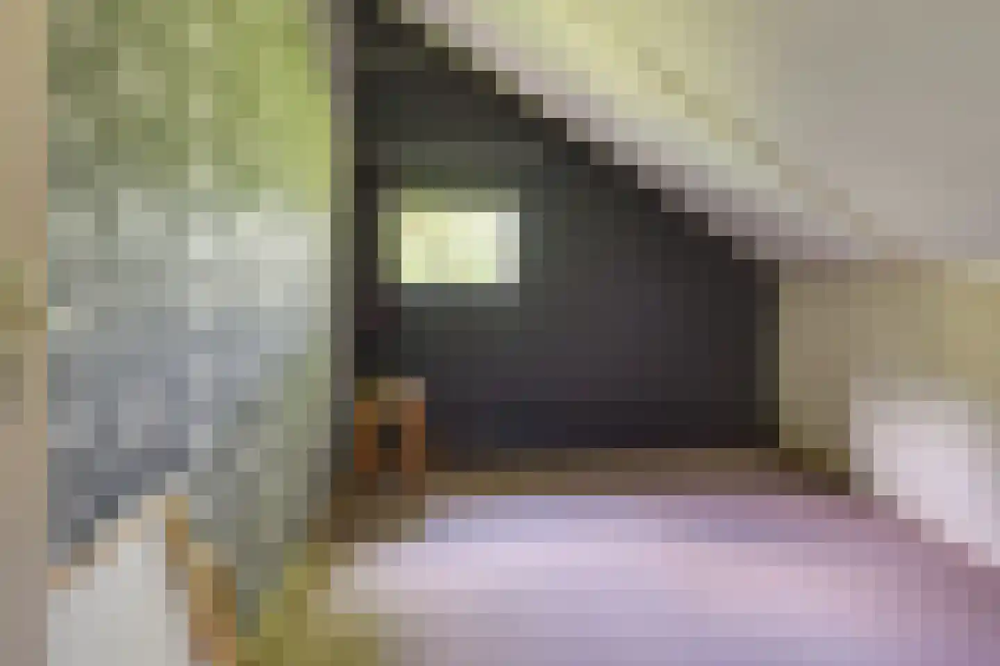 Papenvoortsedijk 4 b Rijkevoort thumbnail 25