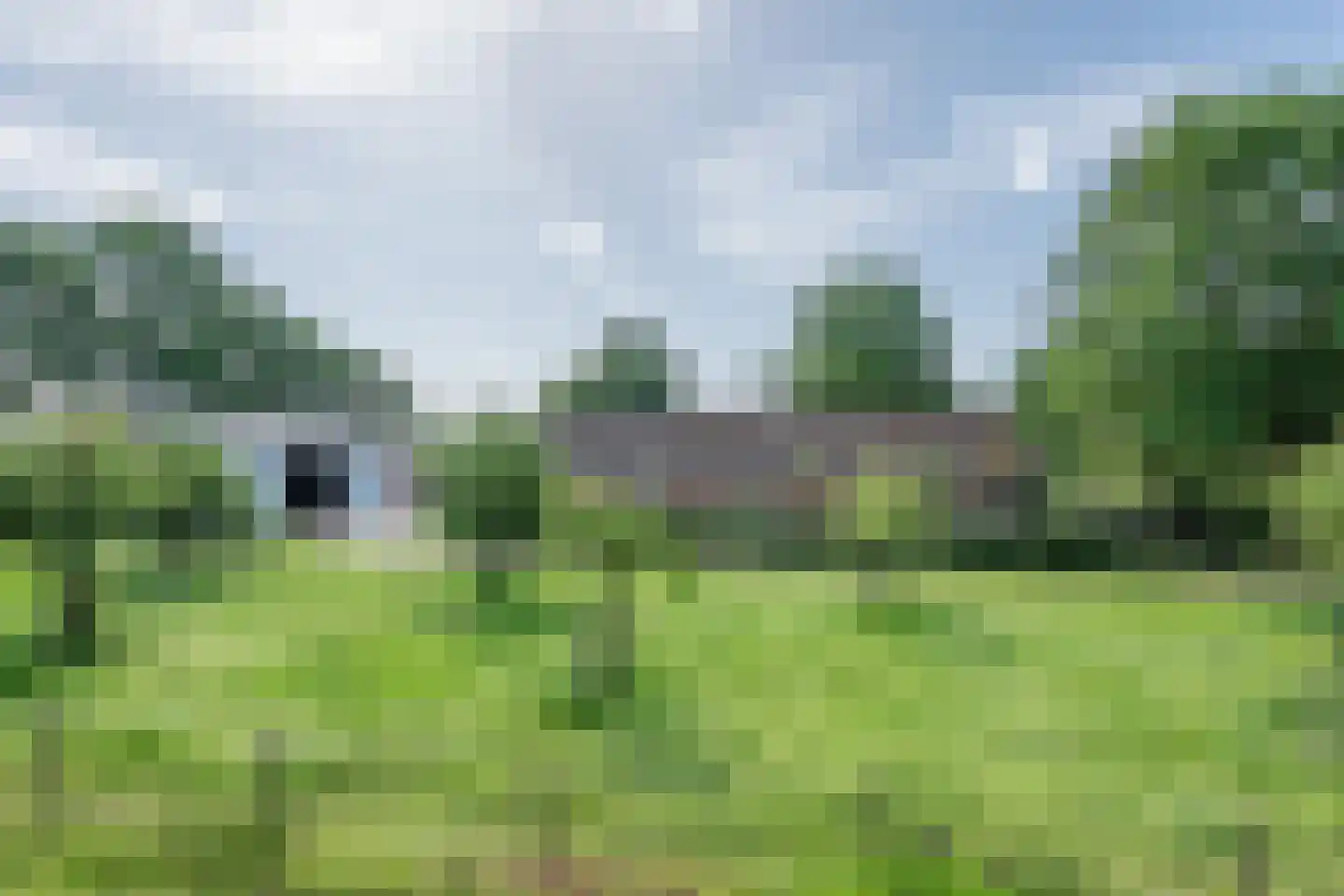Papenvoortsedijk 4 b Rijkevoort foto 3