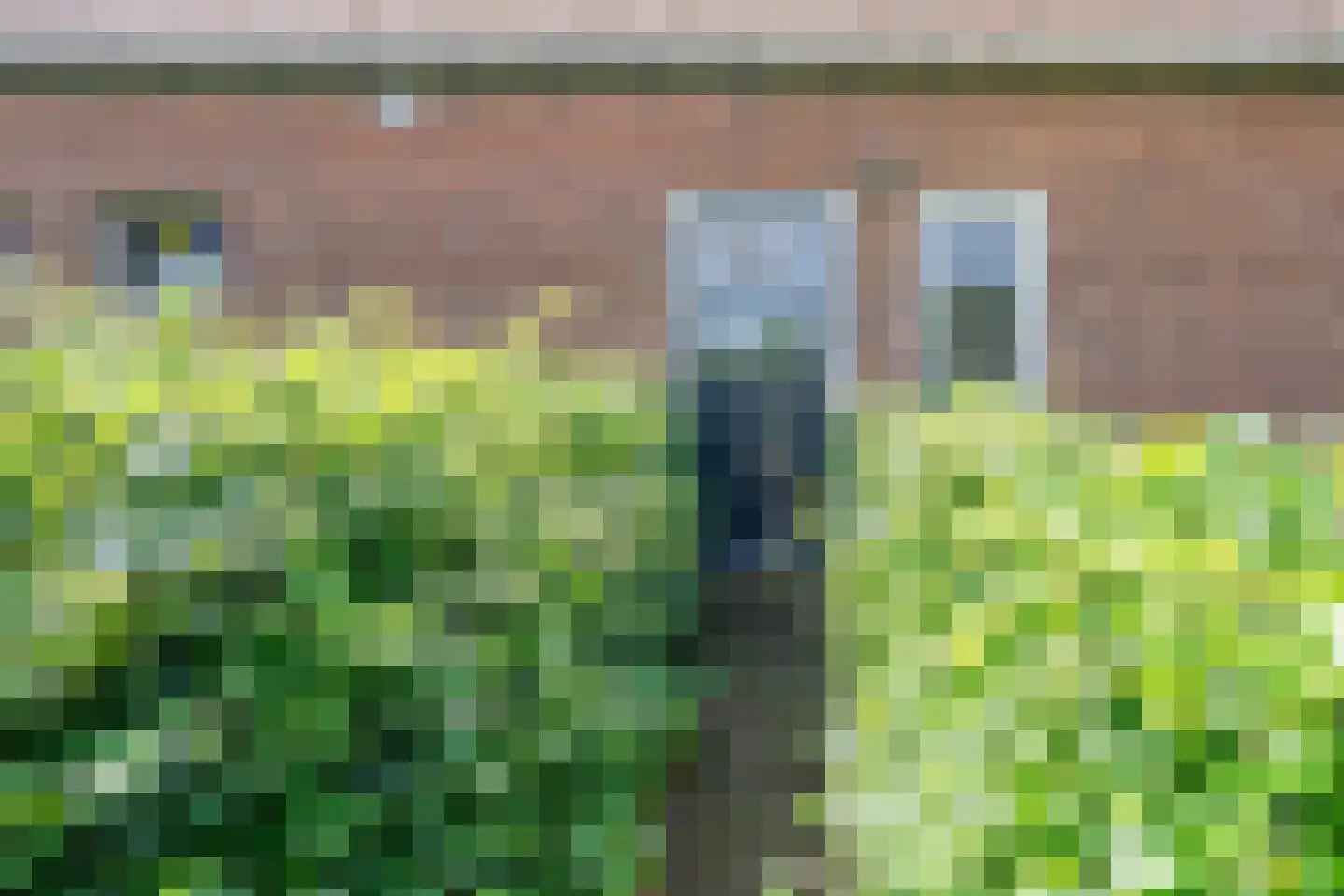 Papenvoortsedijk 4 b Rijkevoort thumbnail 30