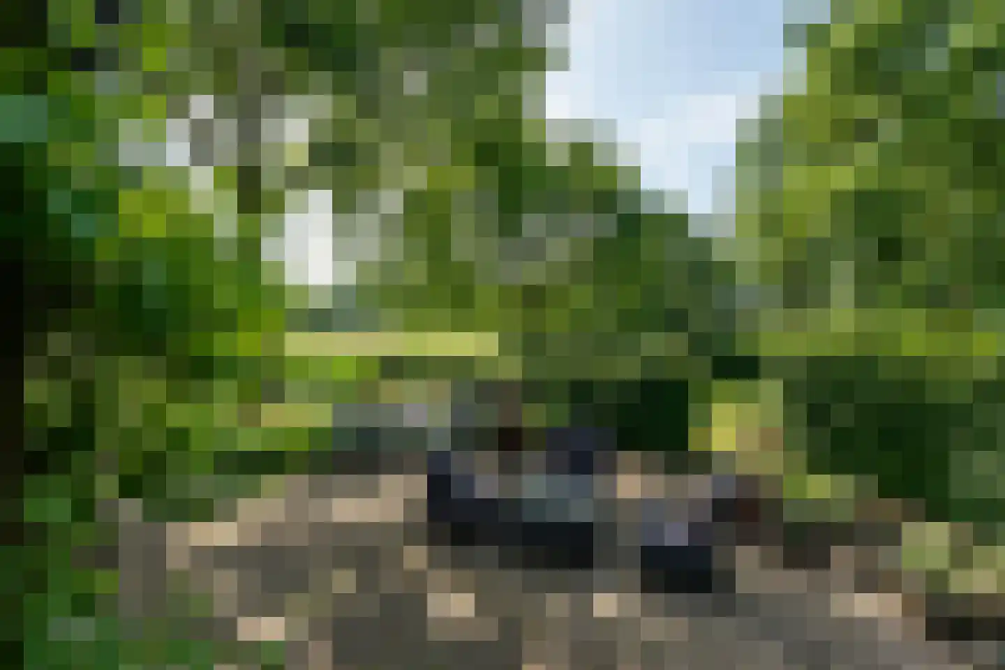 Papenvoortsedijk 4 b Rijkevoort thumbnail 32