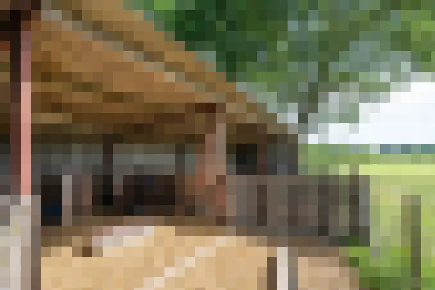 Papenvoortsedijk 4 b Rijkevoort thumbnail 37