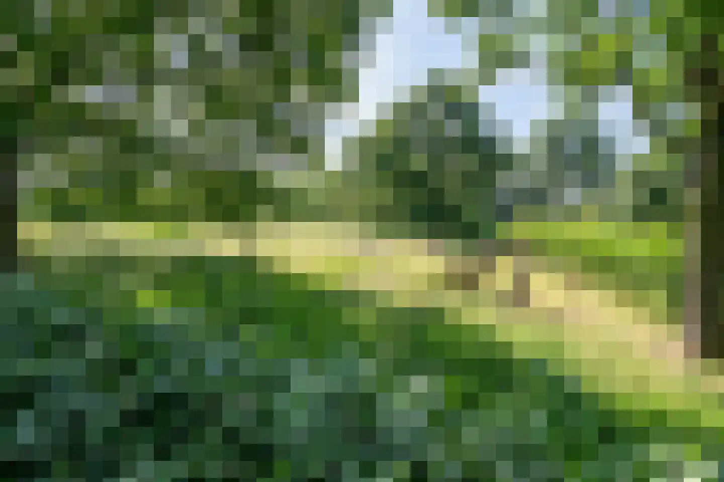 Papenvoortsedijk 4 b Rijkevoort thumbnail 38