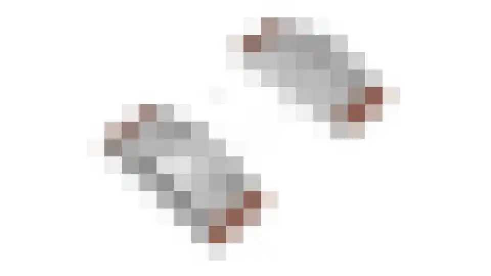 Papenvoortsedijk 4 b Rijkevoort thumbnail 50