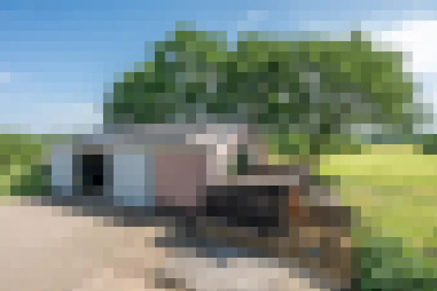 Papenvoortsedijk 4 b Rijkevoort thumbnail 6