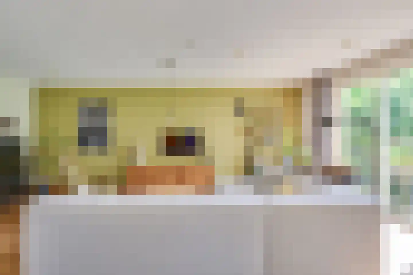 Papenvoortsedijk 4 b Rijkevoort thumbnail 8
