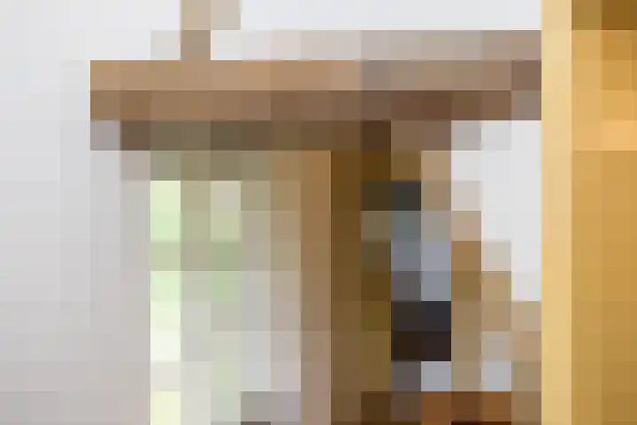 Papenweg 4 Mheer thumbnail 23