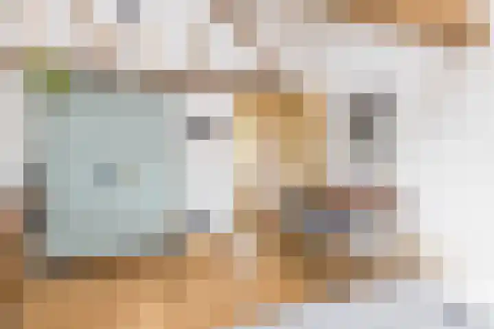Papenweg 4 Mheer thumbnail 25