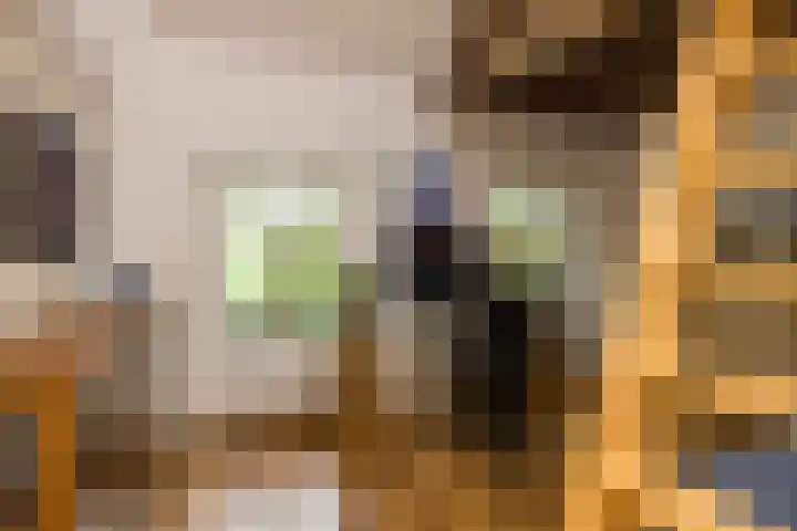 Papenweg 4 Mheer thumbnail 28
