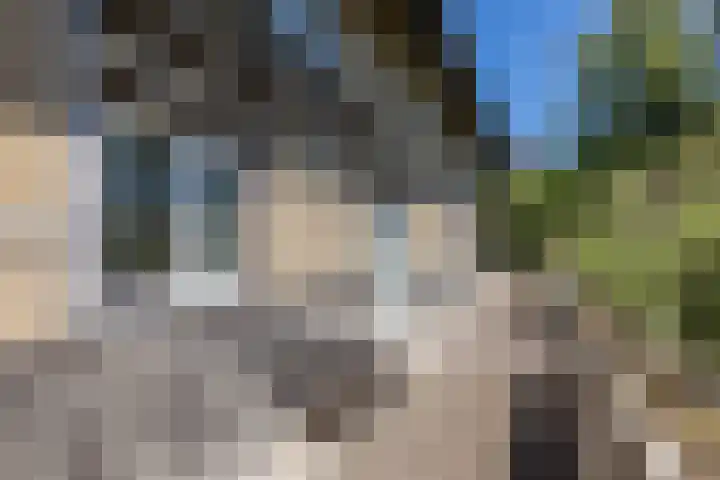 Papenweg 4 Mheer thumbnail 33