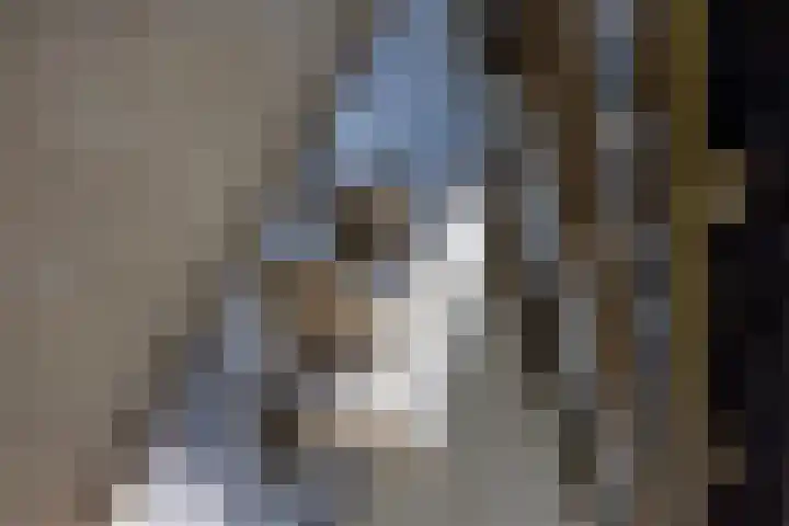 Papenweg 4 Mheer thumbnail 34
