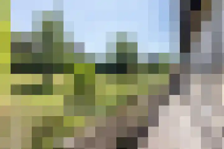 Papenweg 4 Mheer thumbnail 35