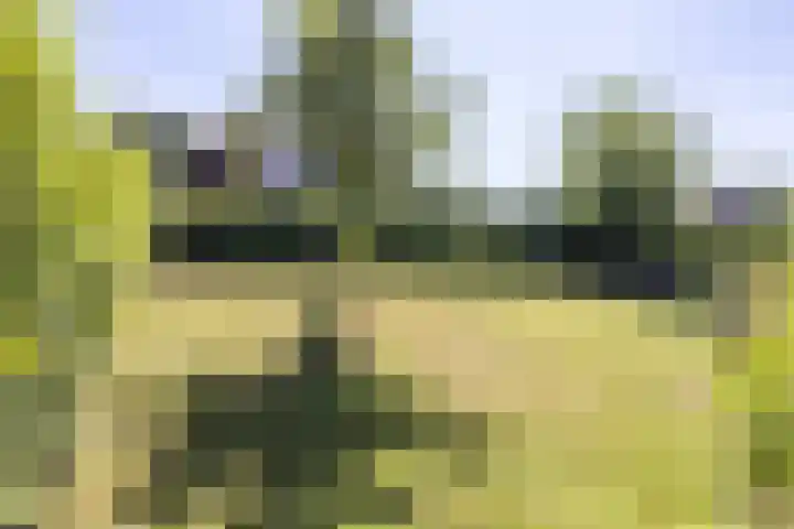 Papenweg 4 Mheer thumbnail 36