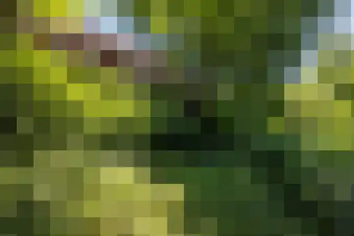 Papenweg 4 Mheer thumbnail 40