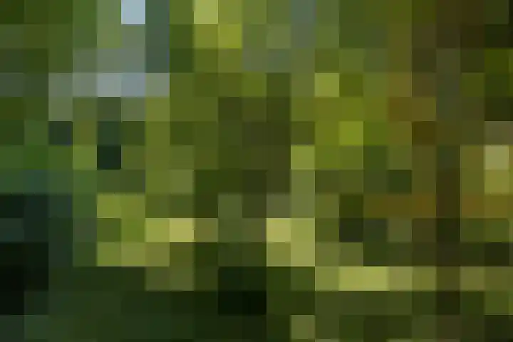 Papenweg 4 Mheer thumbnail 41