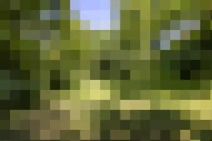 Papenweg 4 Mheer thumbnail 42