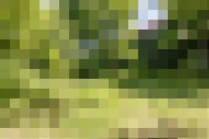 Papenweg 4 Mheer thumbnail 43
