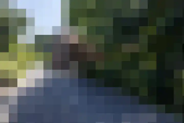 Papenweg 4 Mheer thumbnail 45