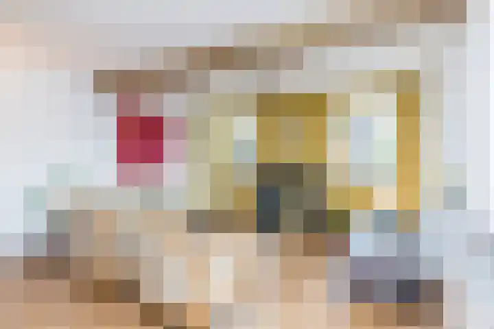 Papenweg 4 Mheer thumbnail 6