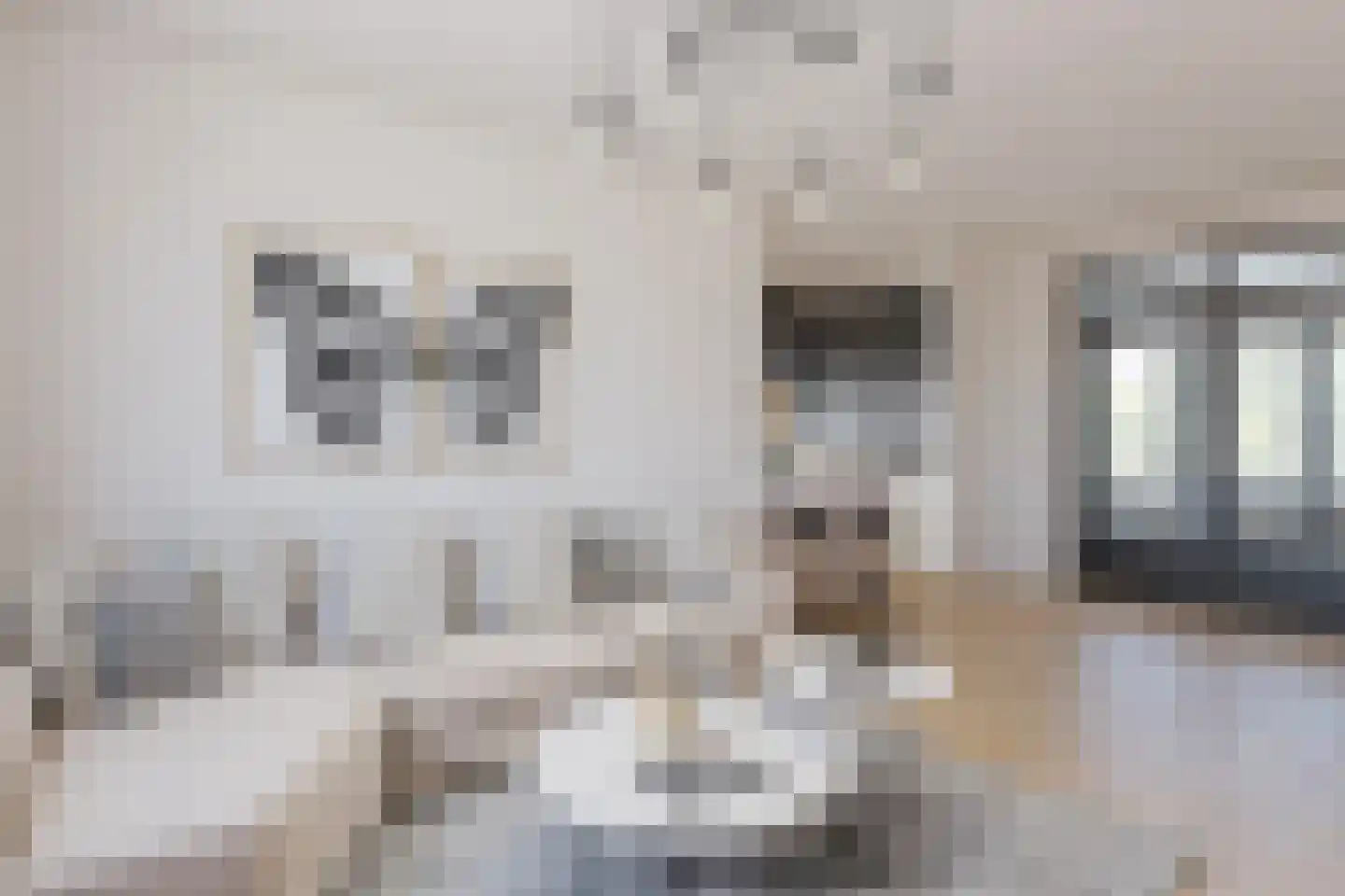 Papenweg 47 Bunde thumbnail 10